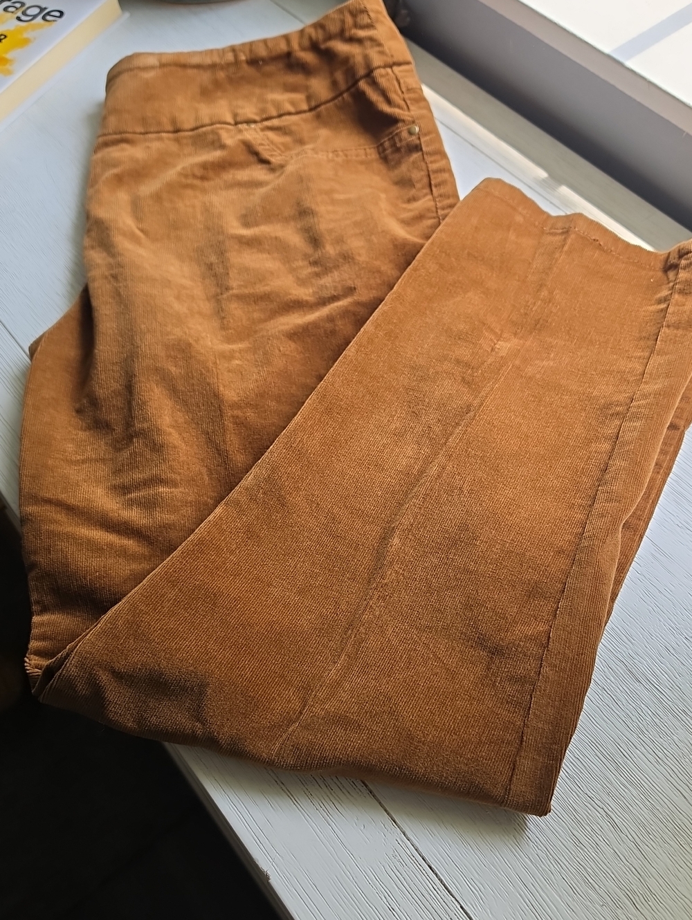Ruby Rd. Women's Corduroy Pants in Rust Brown